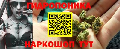 гашик Ипатово