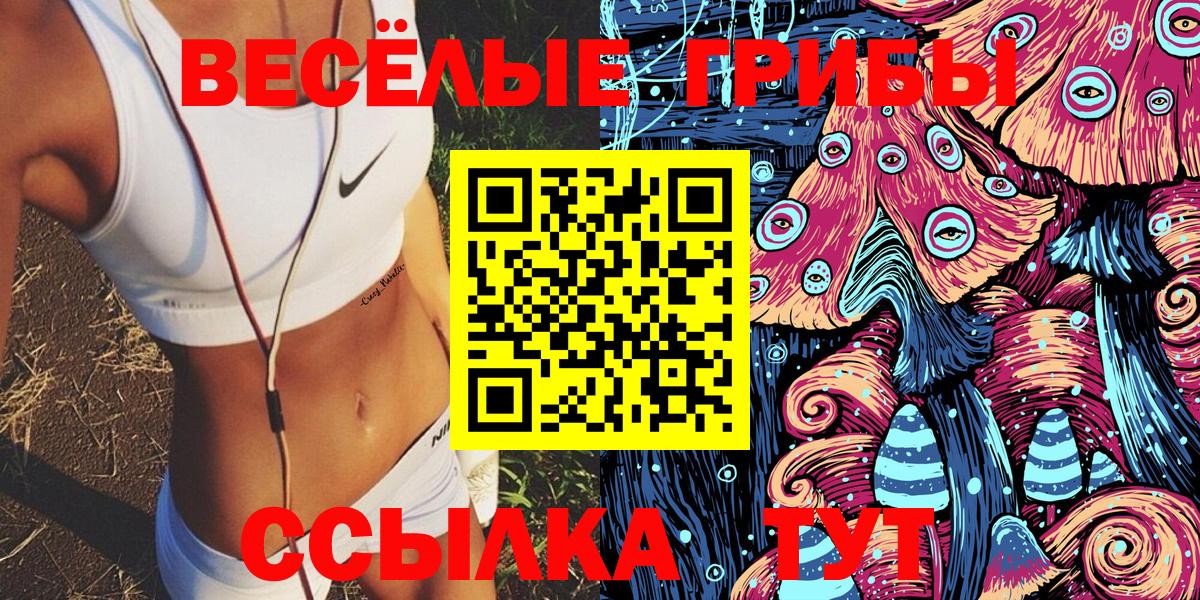 Камень-на-Оби  Псилоцибиновые грибы мицелий  Вход с VPN 