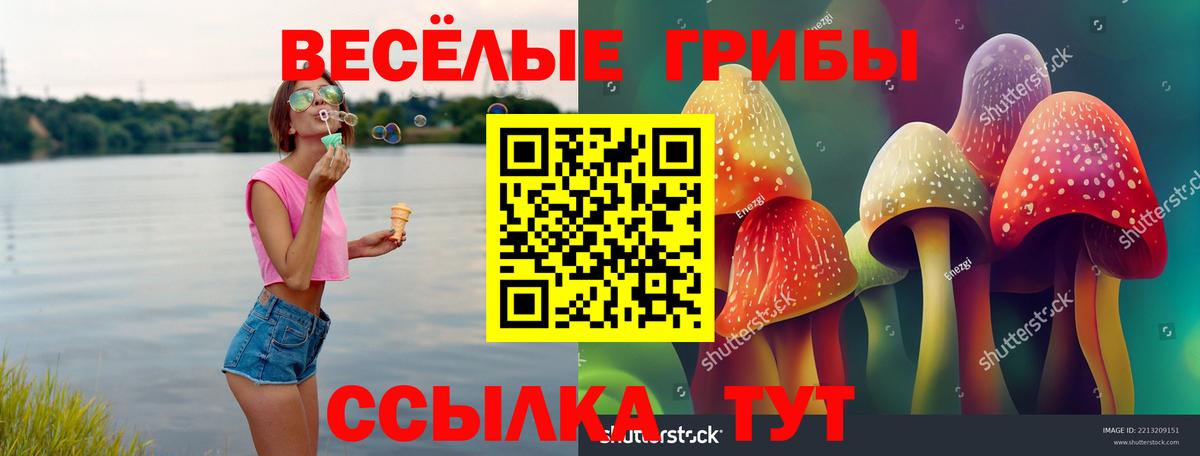 Галлюциногенные грибы прущие грибы Камень-на-Оби